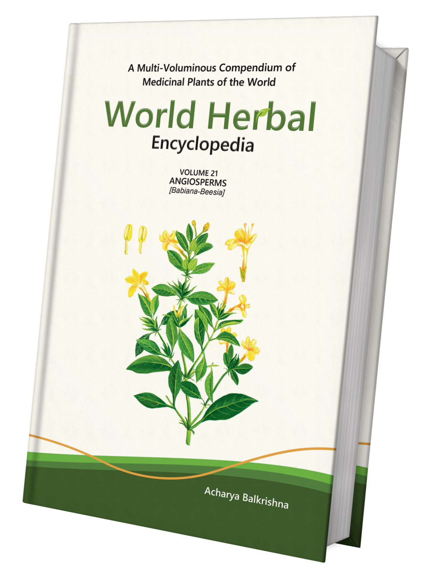World Herbal Encyclopedia