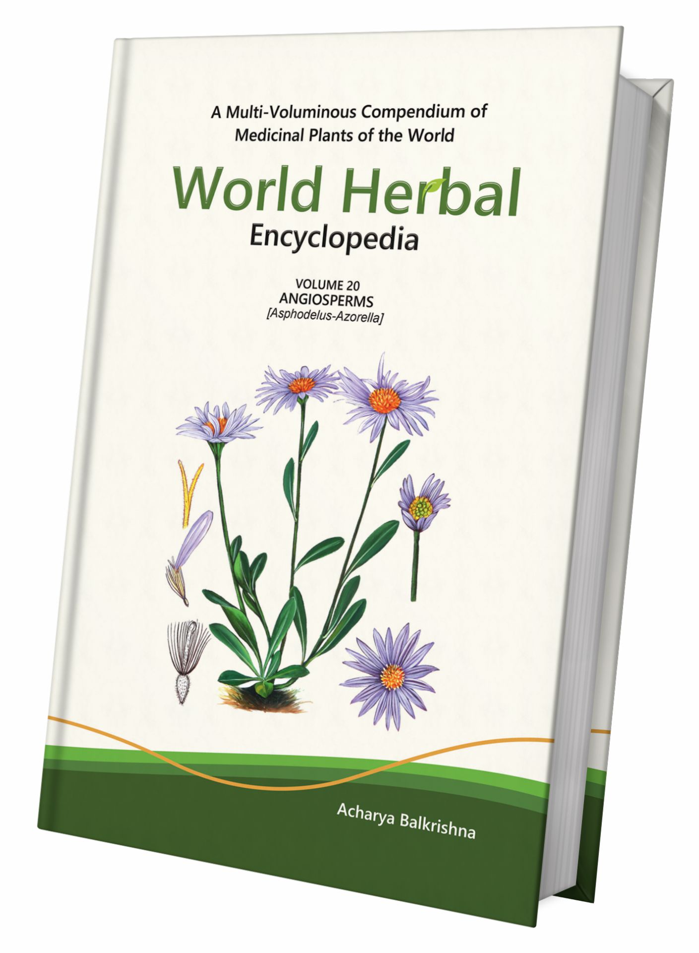 World Herbal Encyclopedia