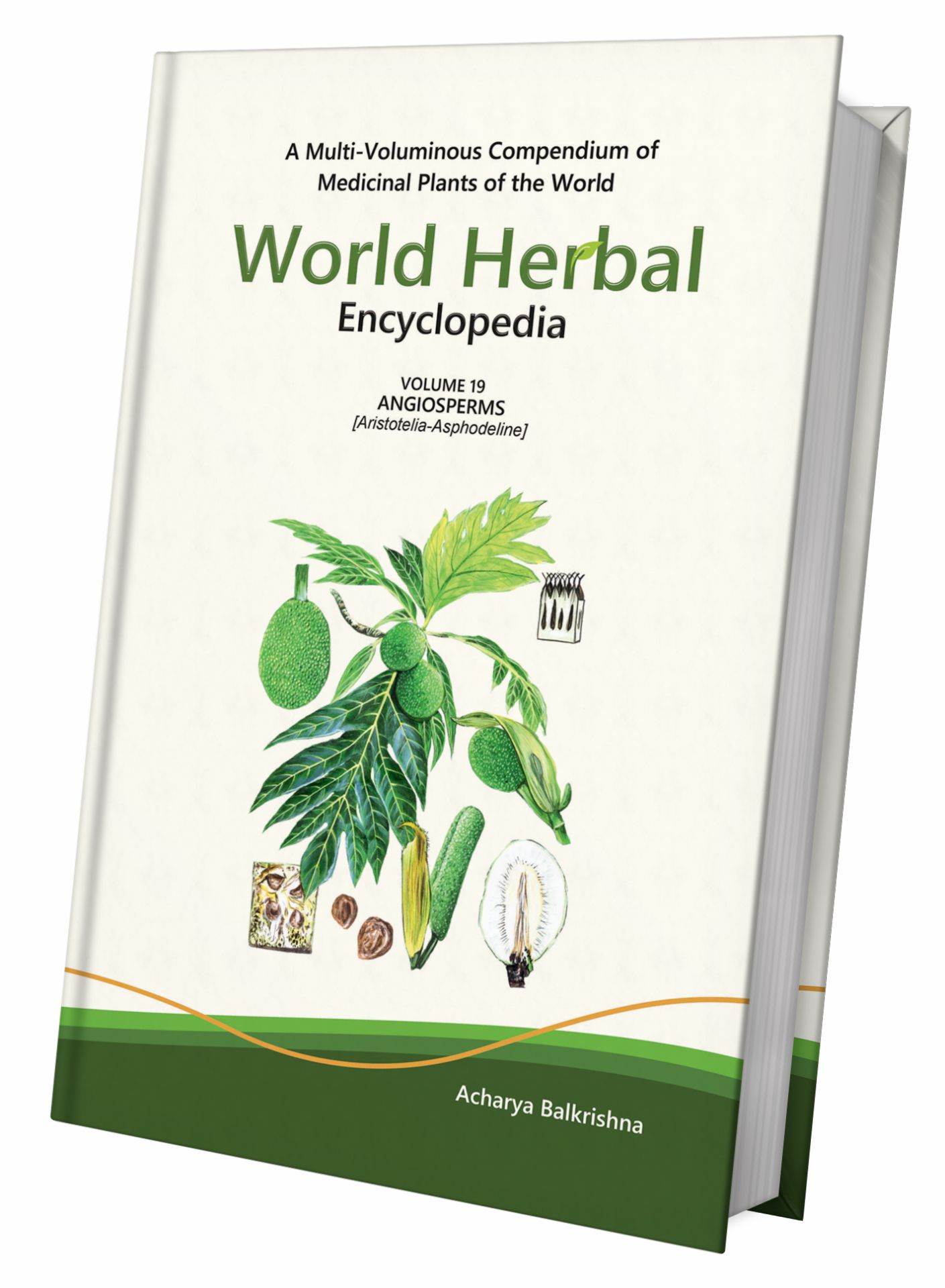World Herbal Encyclopedia