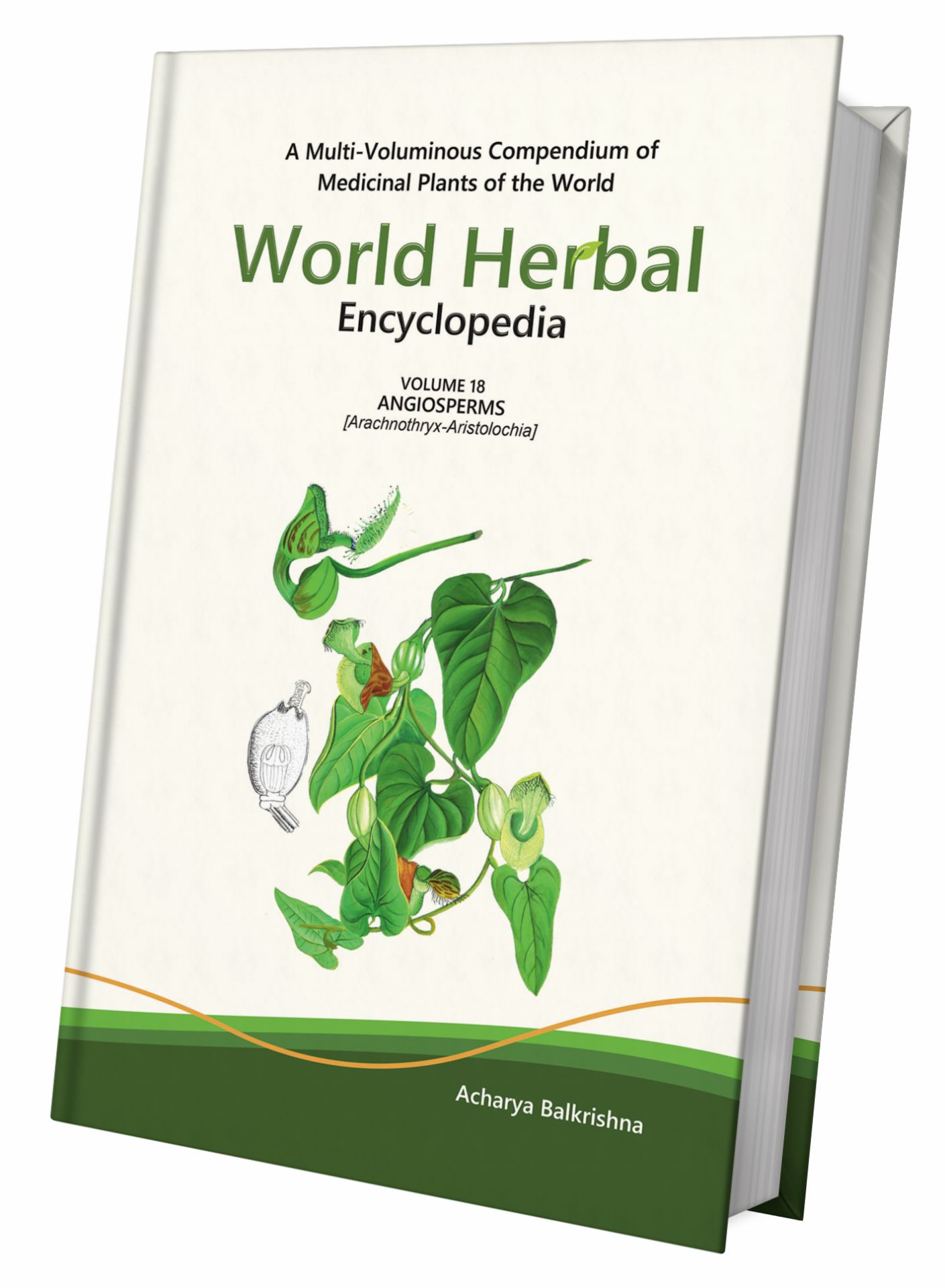 World Herbal Encyclopedia