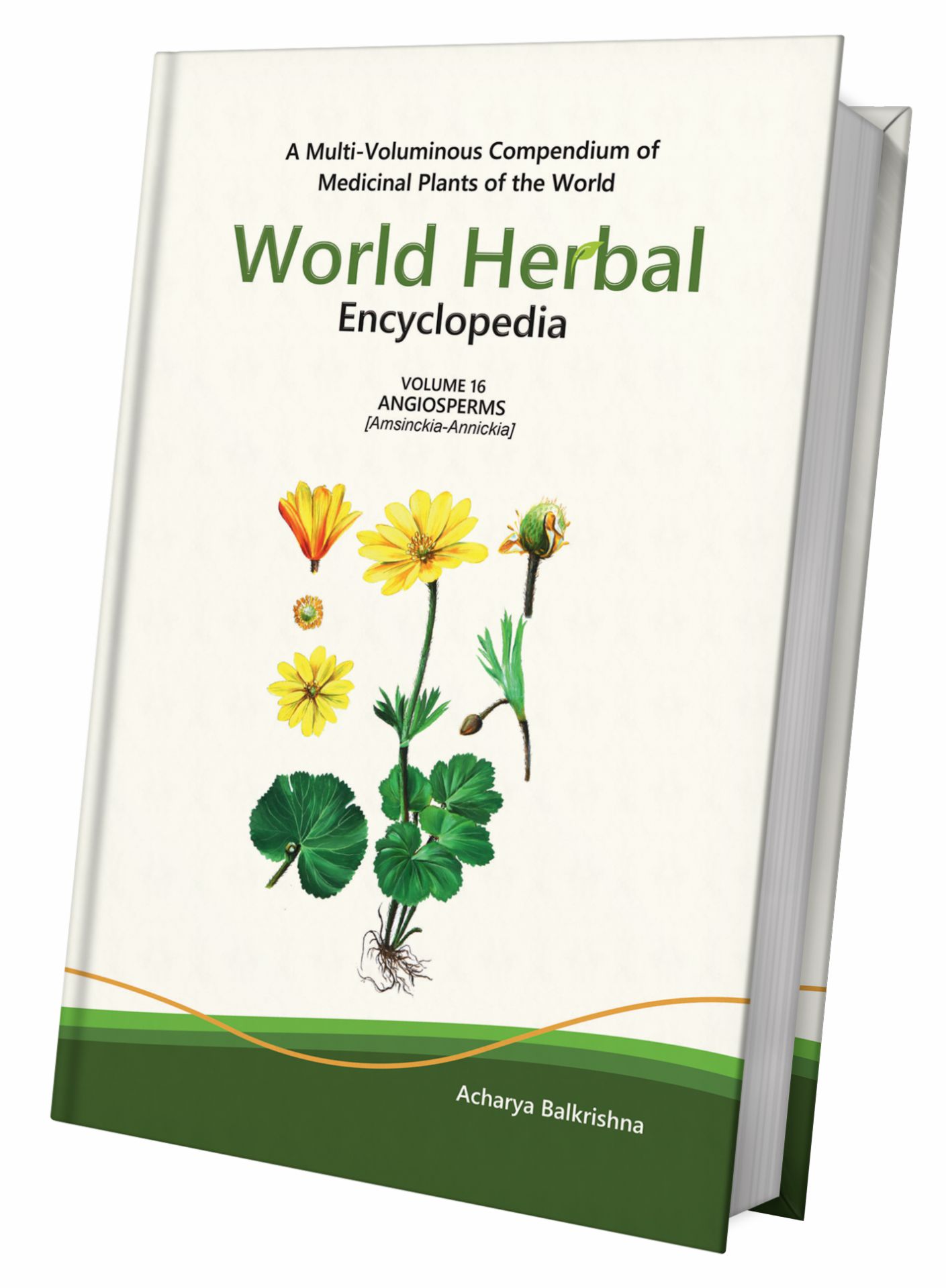 World Herbal Encyclopedia