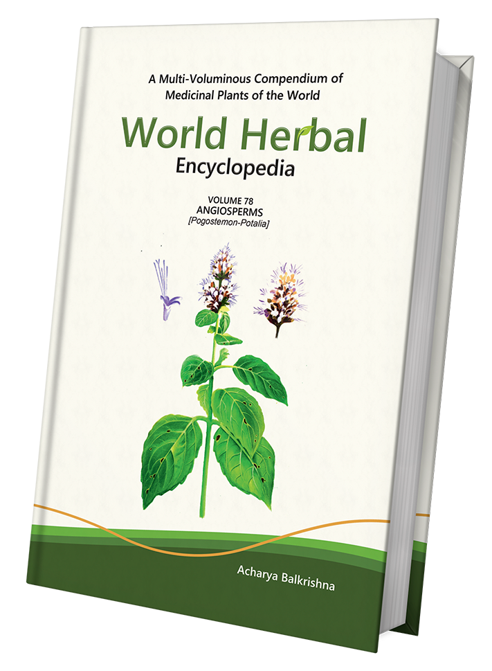 World Herbal Encyclopedia