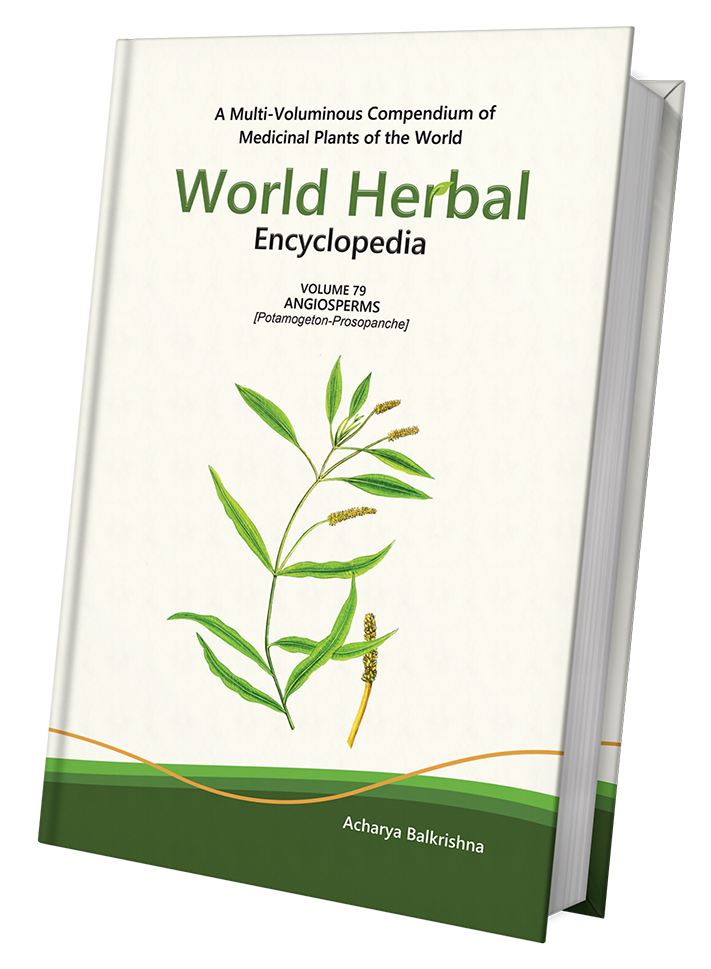 World Herbal Encyclopedia