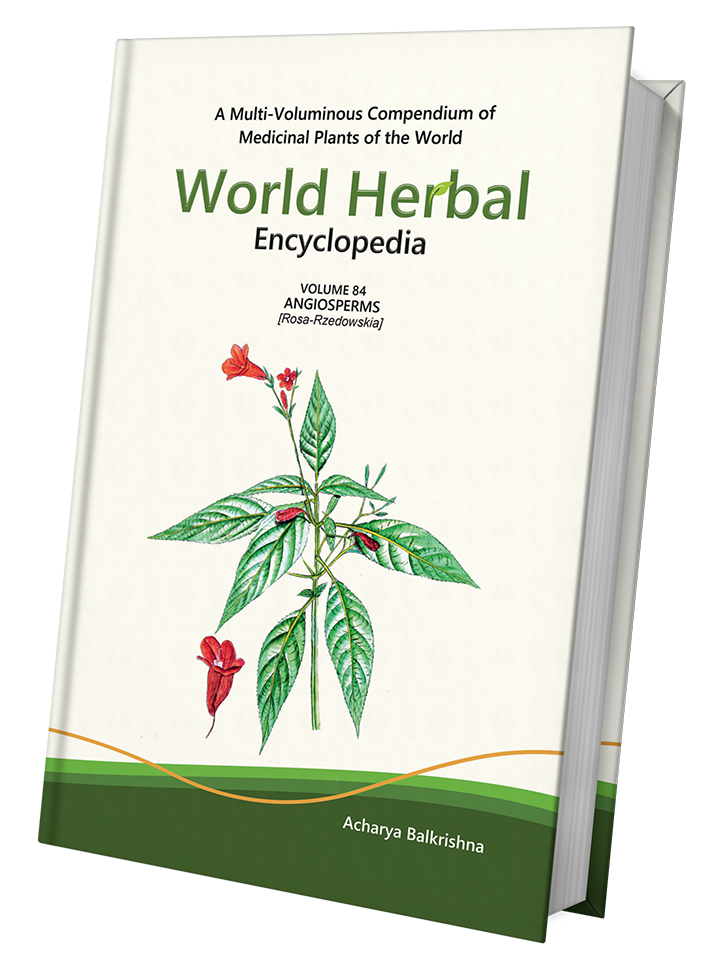 World Herbal Encyclopedia