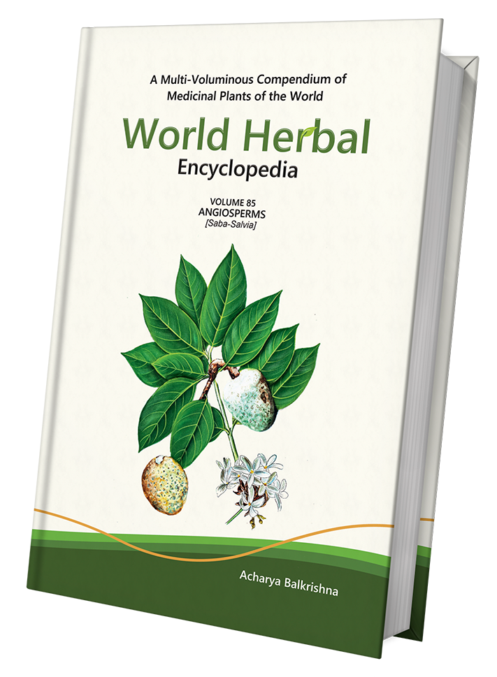 World Herbal Encyclopedia