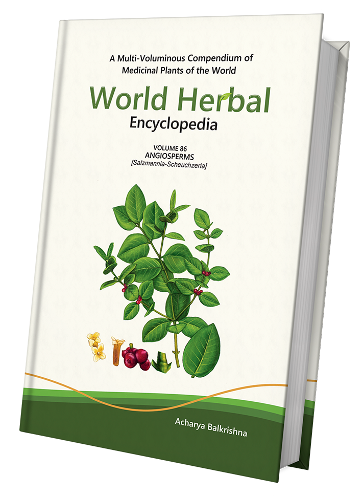 World Herbal Encyclopedia