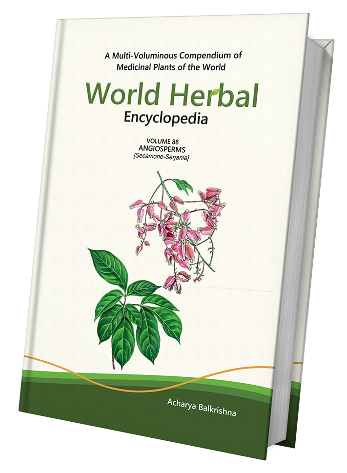 World Herbal Encyclopedia