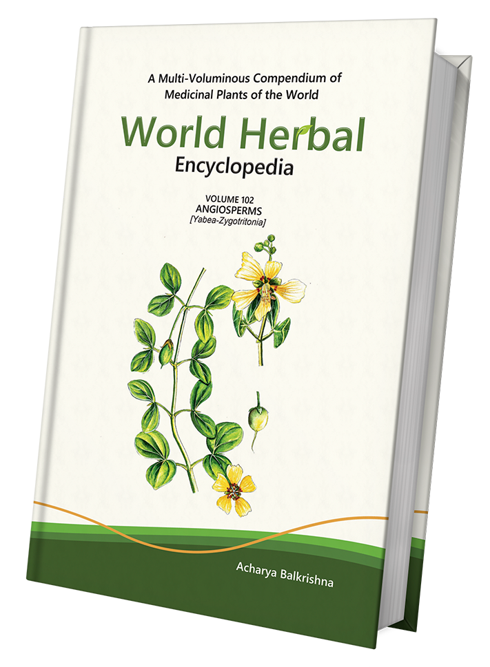 World Herbal Encyclopedia